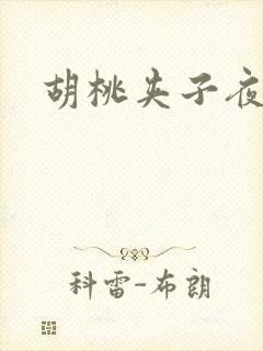 胡桃夹子夜未眠