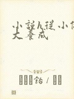 小说h从小做到大养成