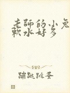 老师的小兔子好软水好多
