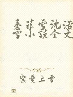 秦菲雪沈浩秦菲雪小说全文免费阅读求书