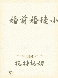 婚前婚后小说封面