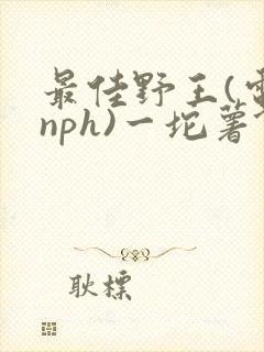 最佳野王(电竞nph)一坨薯饼封面
