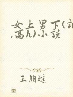 女上男下(调教,高h)小说