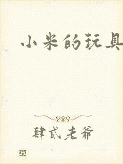 小米的玩具日记