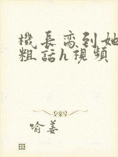 机长脔到她哭h粗话h视频