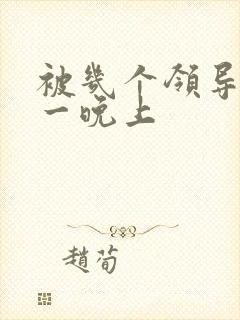 被几个领导玩弄一晚上