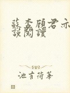 苏杳顾君亦的小说阅读