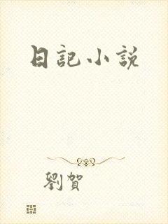 日记小说封面