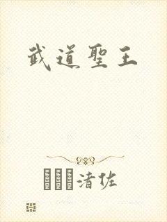 武道圣王