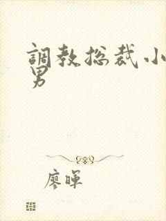 调教总裁小说男男