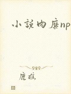 小说肉糜np