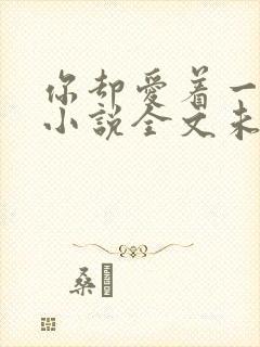 你却爱着一个他小说全文未删减免费