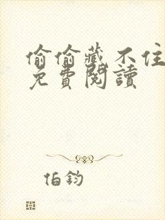 偷偷藏不住小说免费阅读