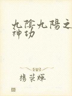 九阴九阳之阴阳神功