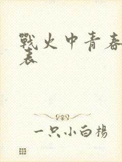 战火中青春演员表