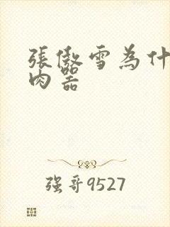 张傲雪为什么是肉器封面