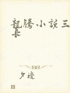 龙腾小说三宝局长