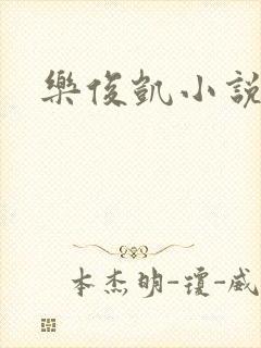 乐俊凯小说封面