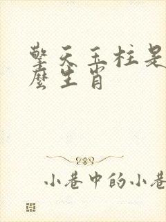 擎天玉柱是指什么生肖封面