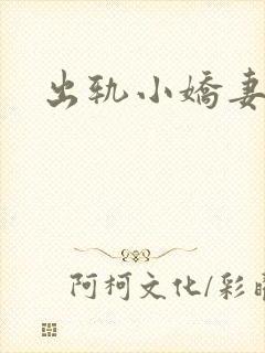 出轨小娇妻