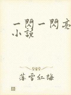 一闪一闪亮星星小说封面