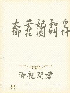 太子妃和皇帝在御花园叫什么小说