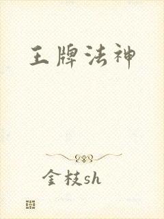 王牌法神封面