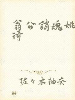 翁公销魂姚瑶琦琦封面