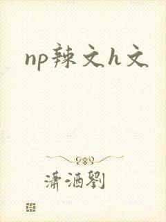 np辣文h文