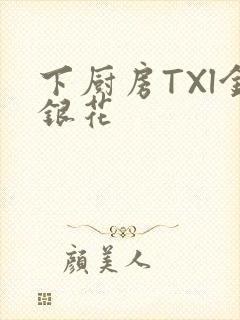 下厨房TXl金银花