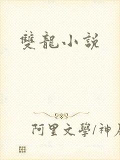 双龙小说