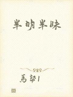 半明半昧