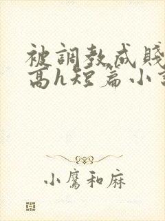 被调教成贱奴的高h短篇小说推荐