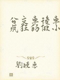 公交车后车座的疯狂的做小