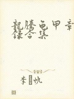 龙腾龟甲章节目录合集