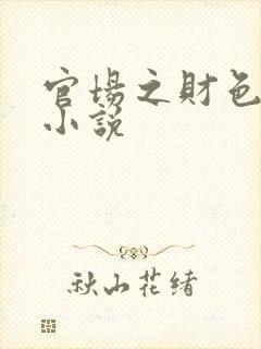 官场之财色诱人小说