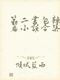 第二书包辣网短篇小说合集