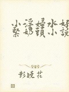 小淫妇水好多真紧奶头小说