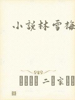 小说林雪梅