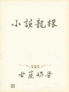 小说龙根