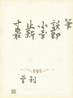 寸止小说笔趣阁最新章节