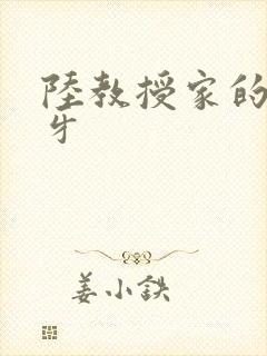 陆教授家的小月牙