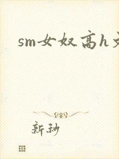 sm女奴高h文封面