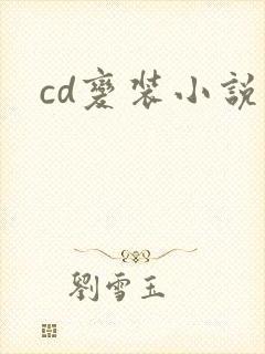 cd变装小说