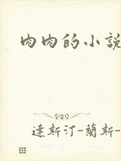 肉肉的小说封面