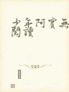 少年阿宾无删减阅读封面