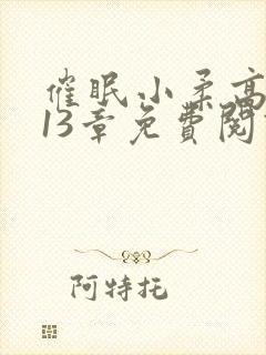 催眠小柔高达第13章免费阅读