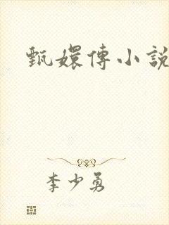 甄嬛传小说封面