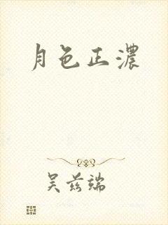 月色正浓封面