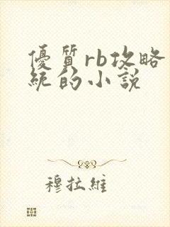 优质rb攻略系统的小说封面